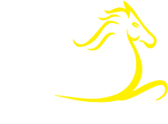 Pinjarra Park - Pinjarra Race Club Inc