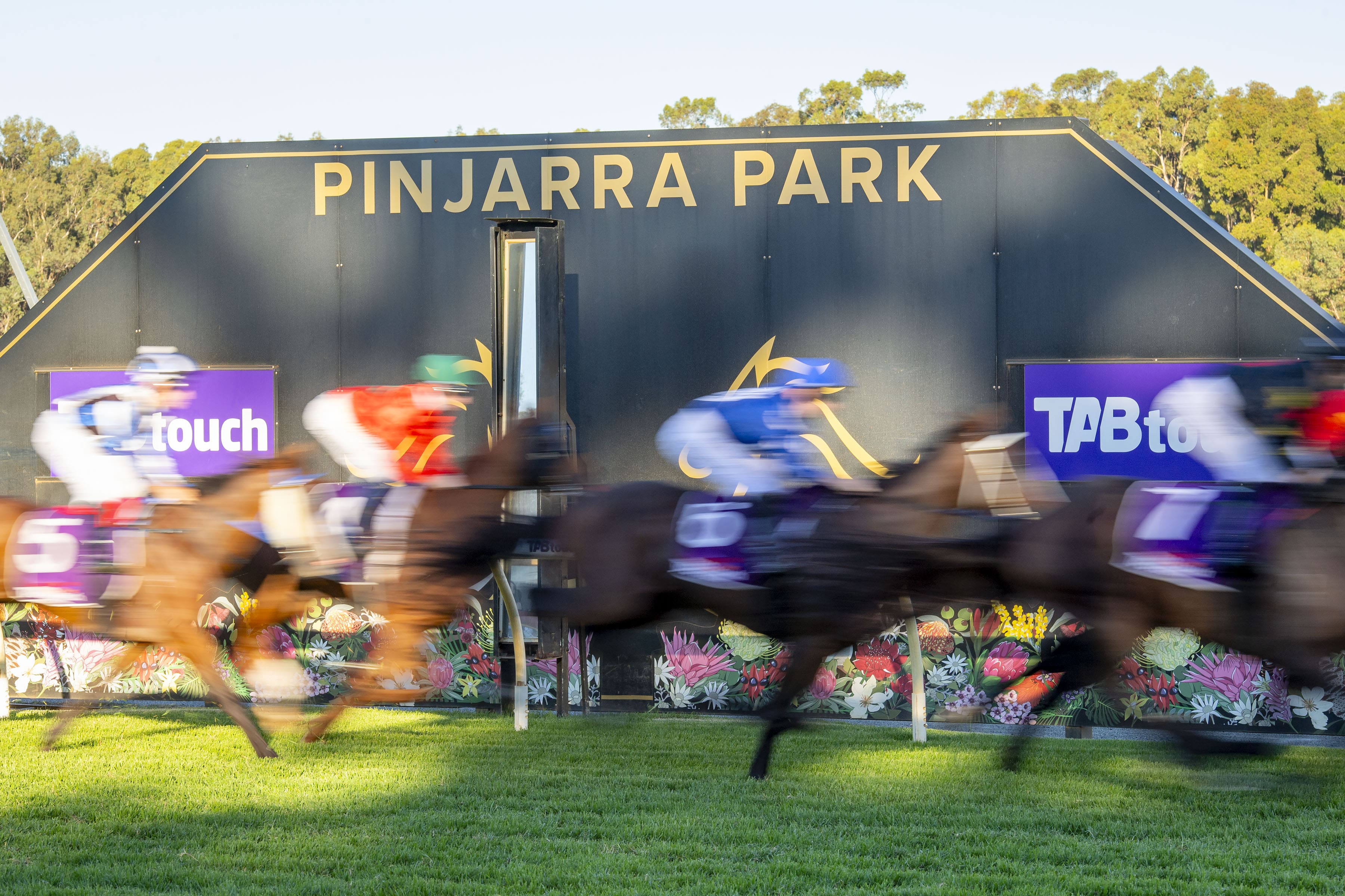 Racing at Pinjarra Park