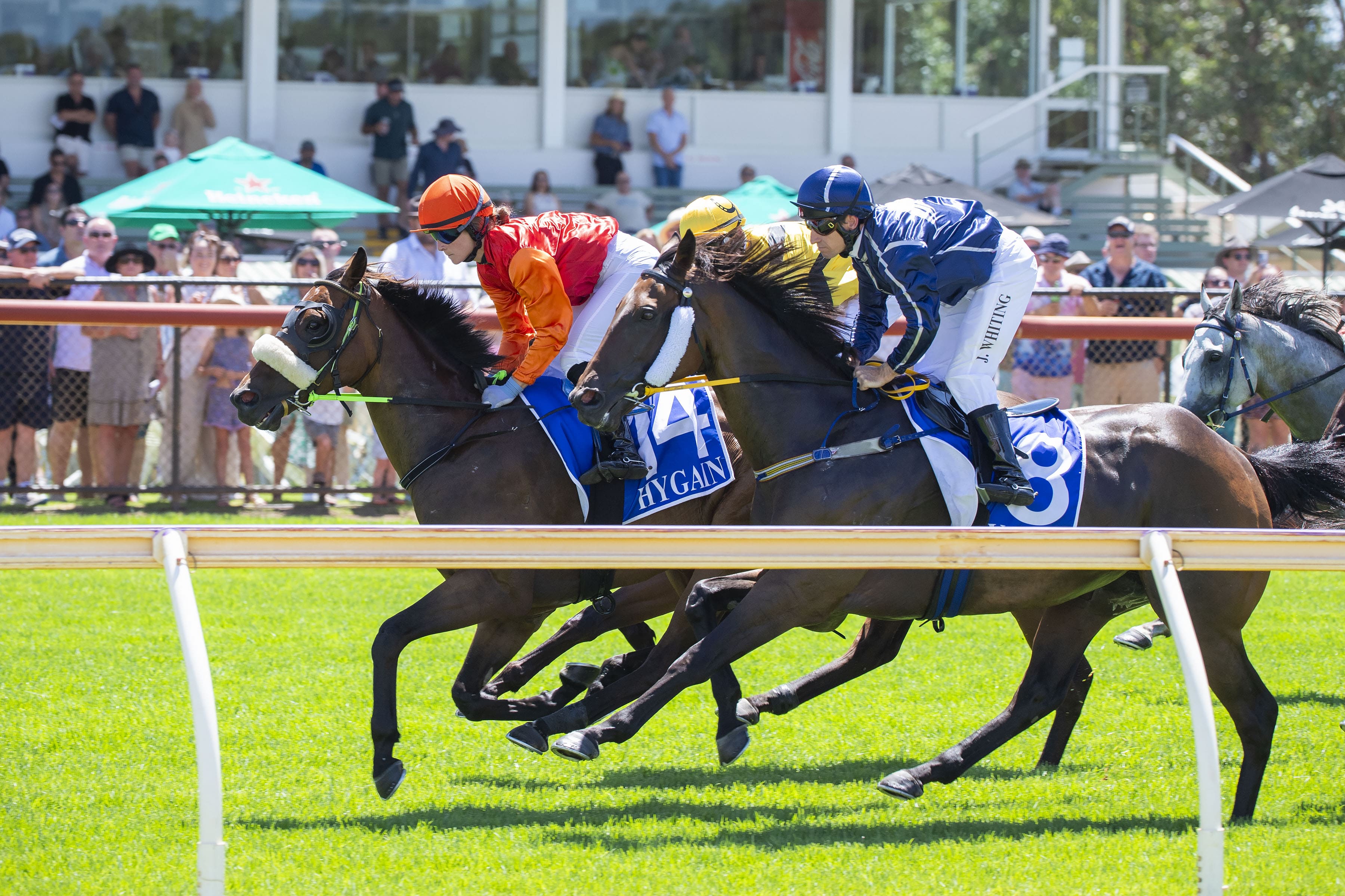The finish at Pinjarra Park