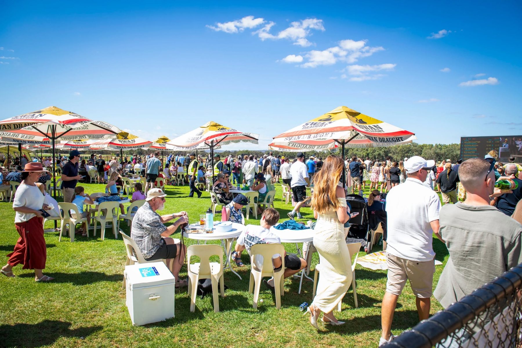 Marquee tables and umbrellas on Pinjarra Cup day