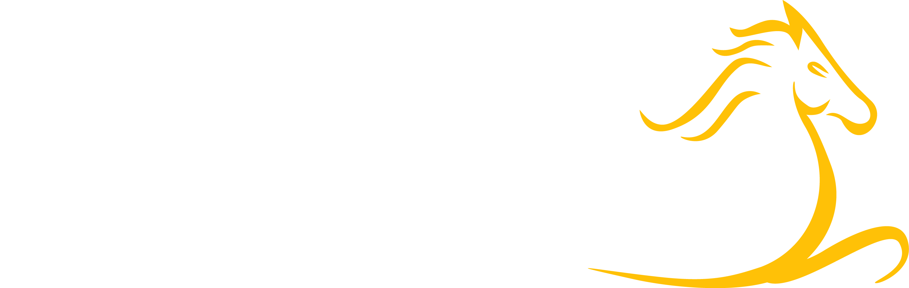 Pinjarra Park | Pinjarra Race Club Inc