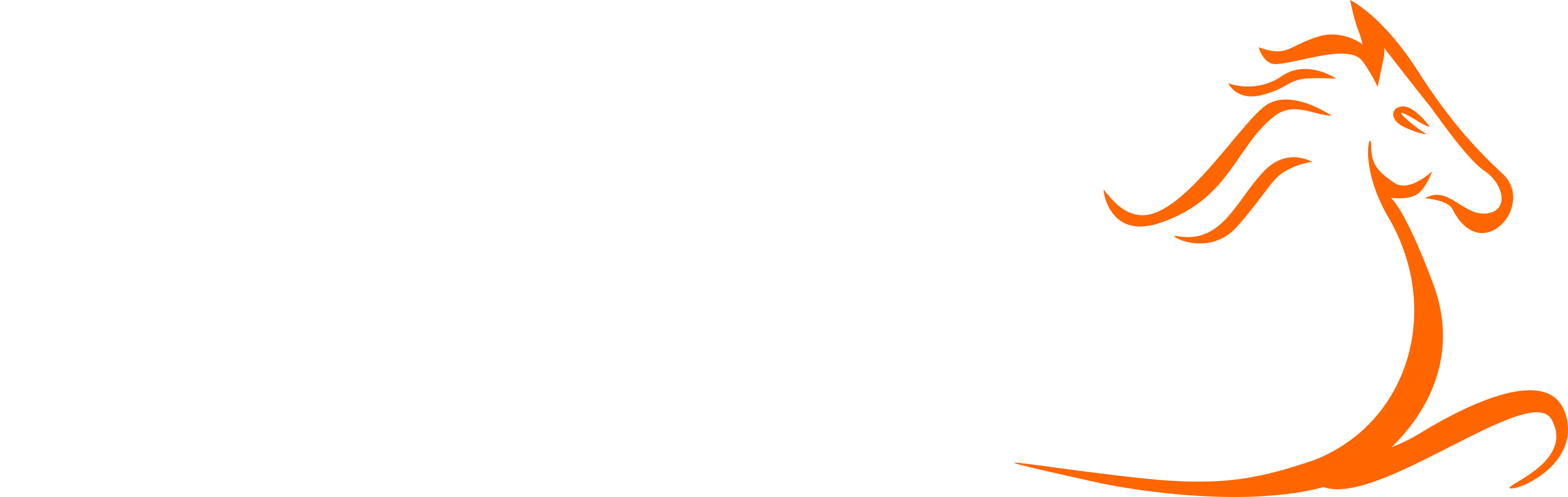 Pinjarra Park | Pinjarra Race Club Inc